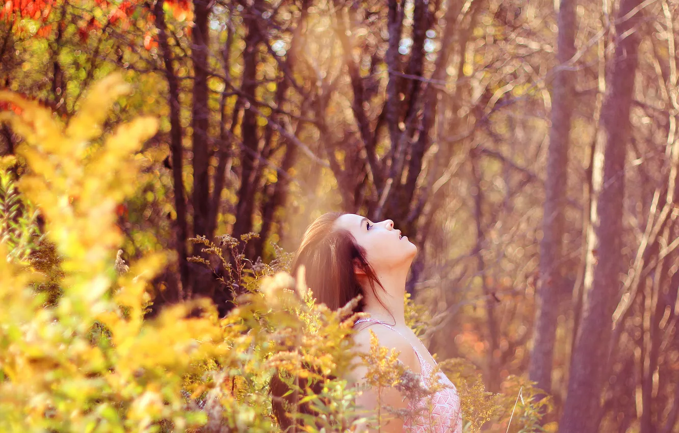 Photo wallpaper forest, girl, nature, up, head, looks, bokeh