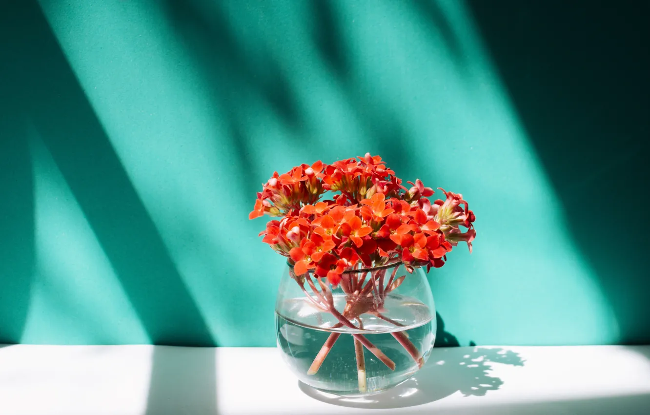 Photo wallpaper flowers, shadow, bouquet, vase