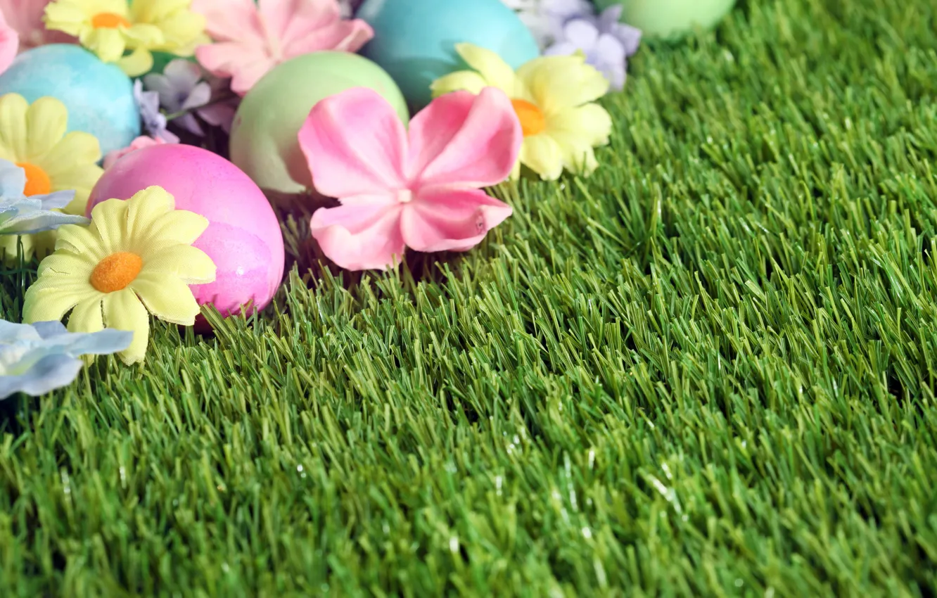 Photo wallpaper grass, flowers, Easter, flowers, spring, Easter, eggs, decoration