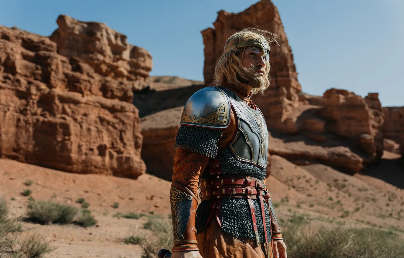 Photo wallpaper look, pose, armor, Finist Clear Falcon, The finist. The first hero, Kirill Zaitsev