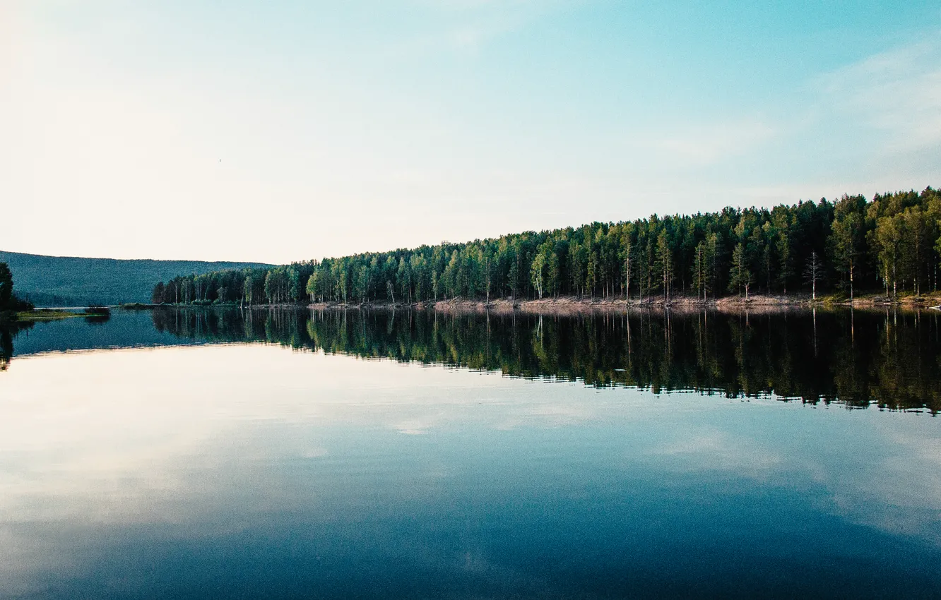 Photo wallpaper forest, nature, on the shore