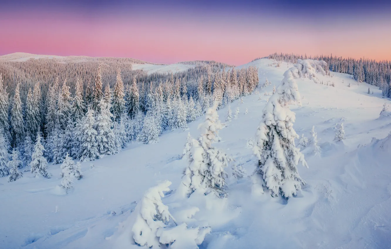 Photo wallpaper winter, snow, trees, landscape, mountains, tree, forest, landscape
