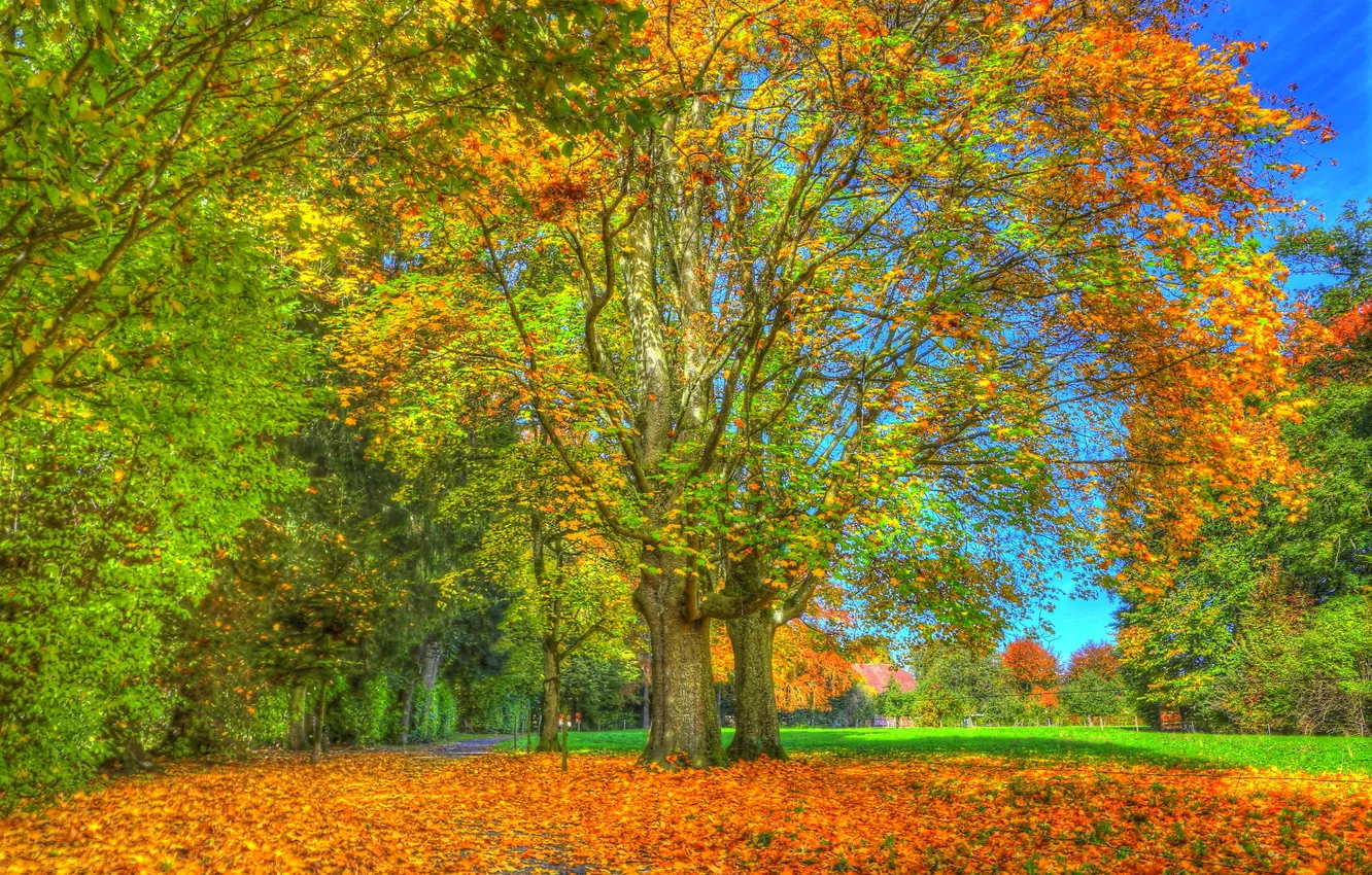 Photo wallpaper roof, autumn, the sky, grass, leaves, HDR, home, track