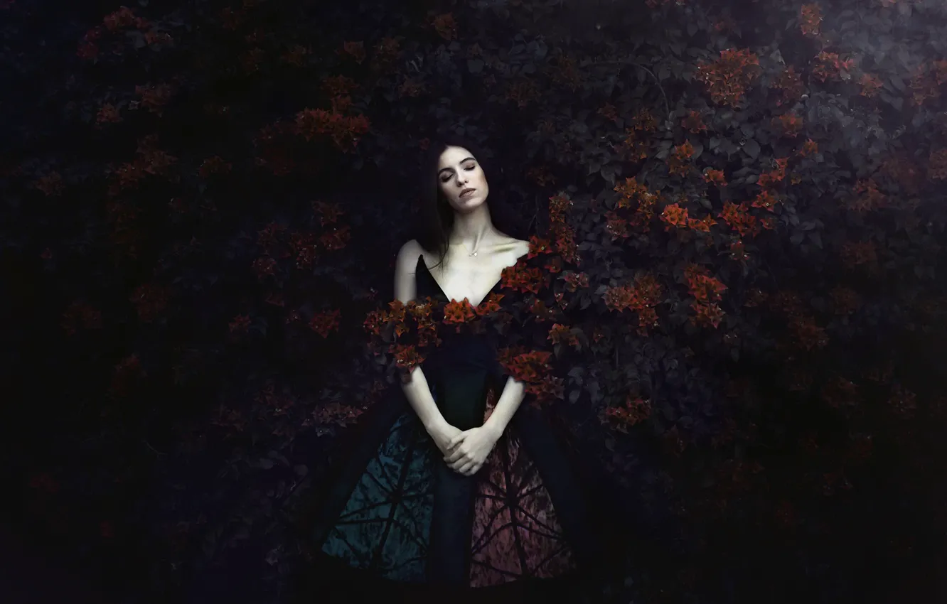 Photo wallpaper girl, background, Priroda