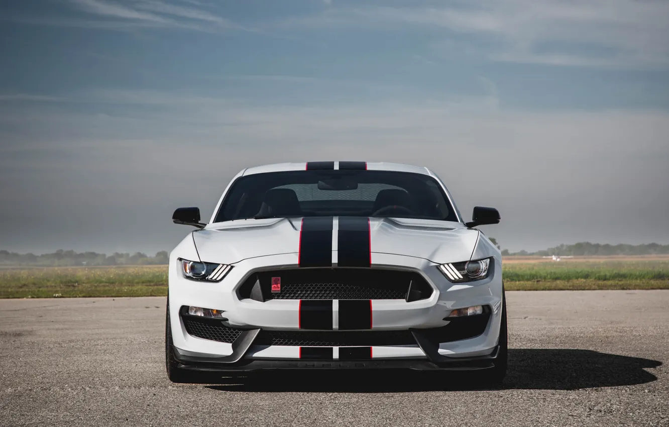 Photo wallpaper Mustang, Ford, Shelby, GT350R, 2016