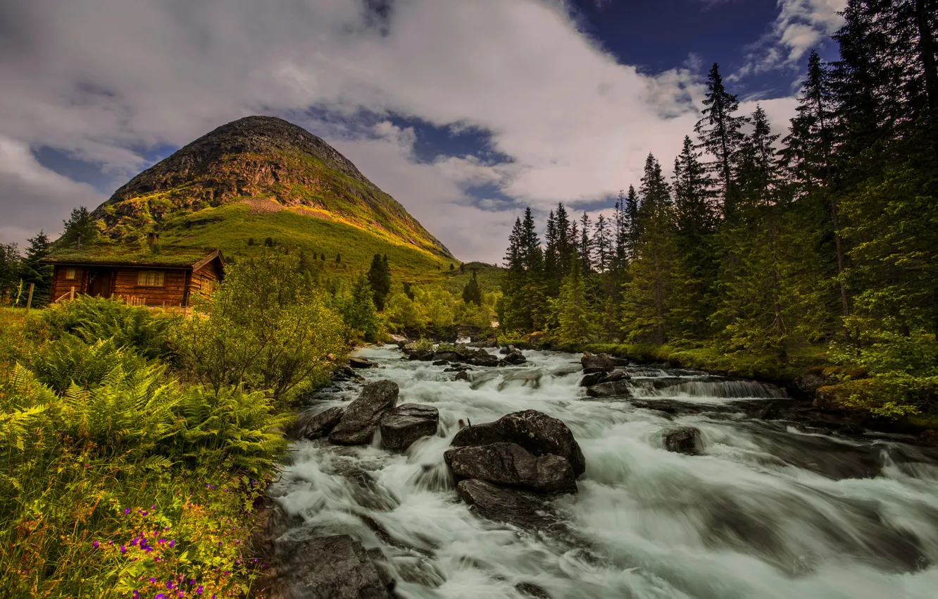 Photo wallpaper trees, river, hill, Norway, hut, Norway