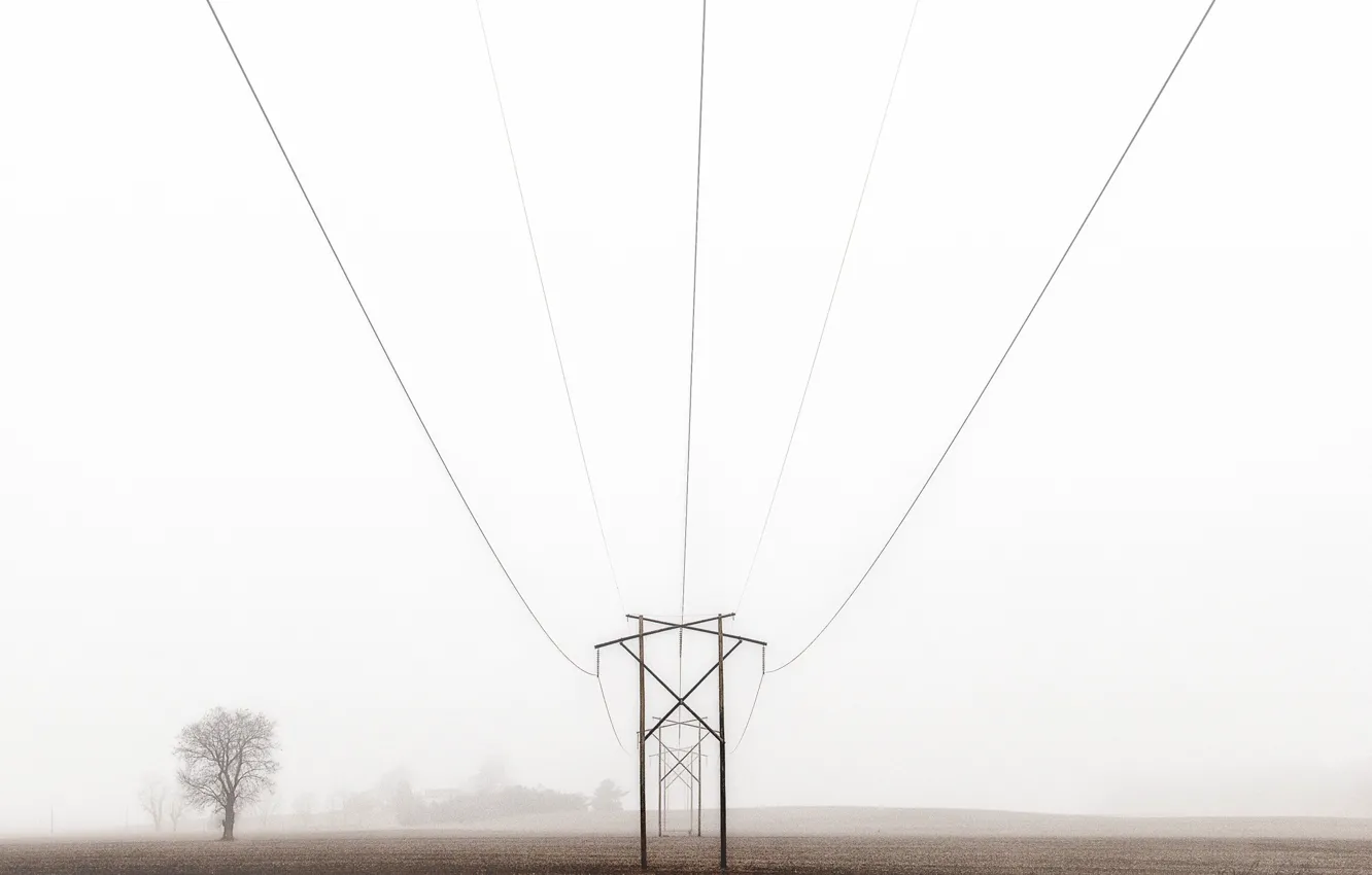 Photo wallpaper field, farm, foggy, power line