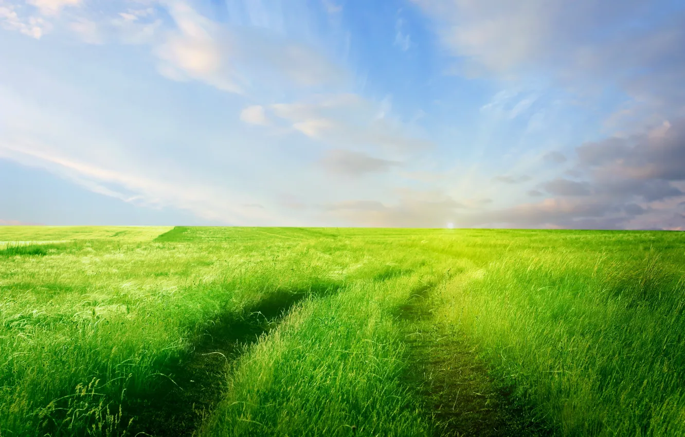 Photo wallpaper road, greens, field, the sky, grass, clouds, nature, horizon
