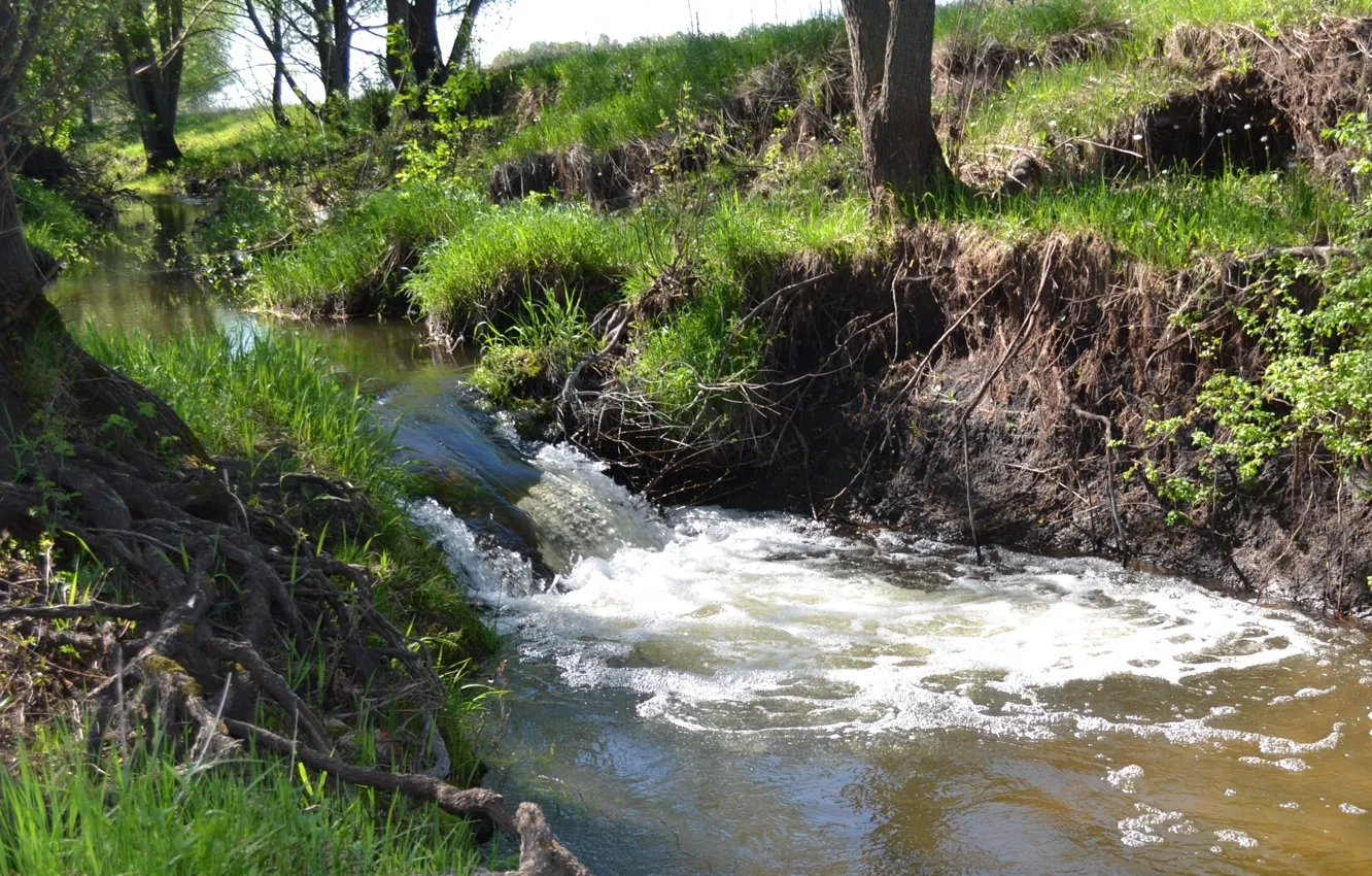 Photo wallpaper heat, the evening, June