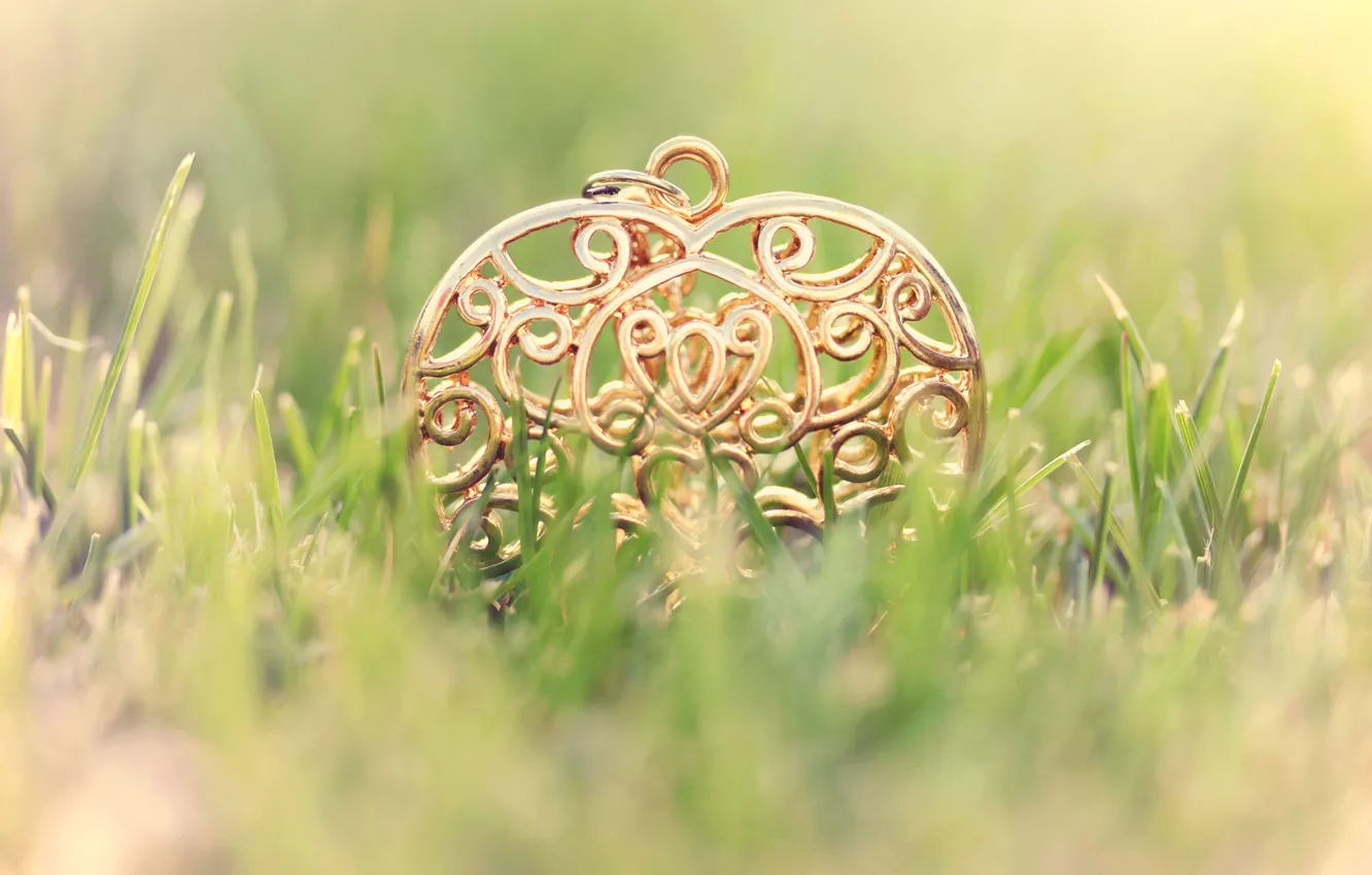 Photo wallpaper grass, metal, lawn, pattern, pendant, heart