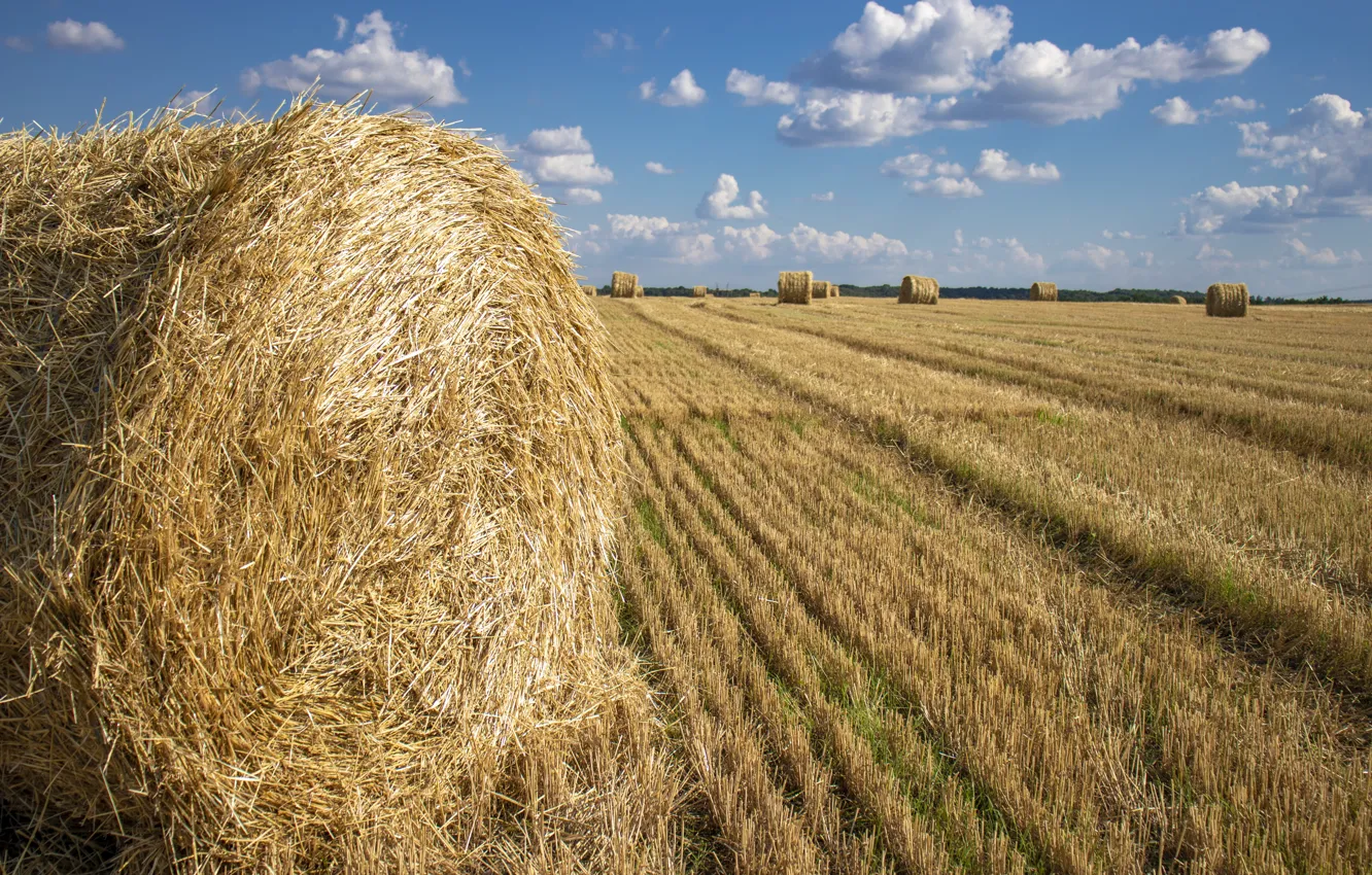 Photo wallpaper the sky, clouds, straw, bales of hay
