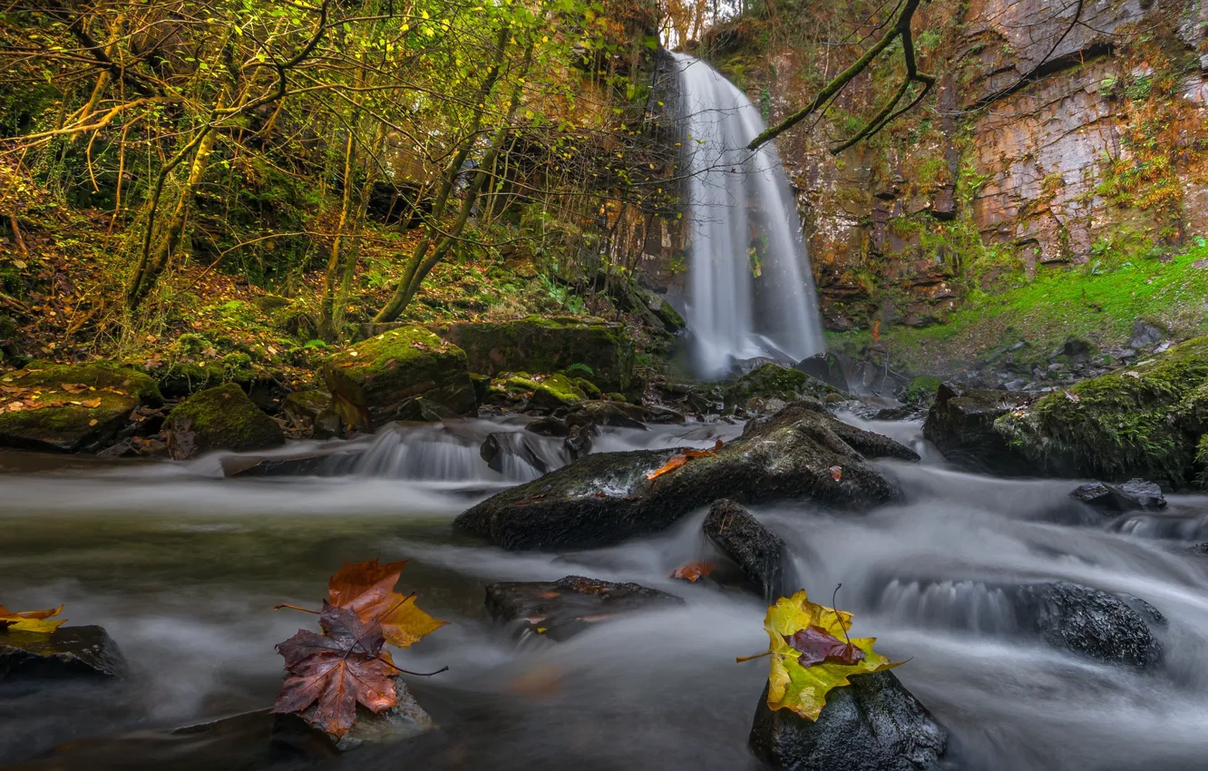 Photo wallpaper autumn, leaves, stream, stones, waterfall, Wales, Resolve