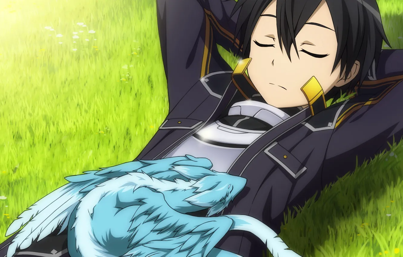 Photo wallpaper anime, art, sword art online, sword art online, kirito