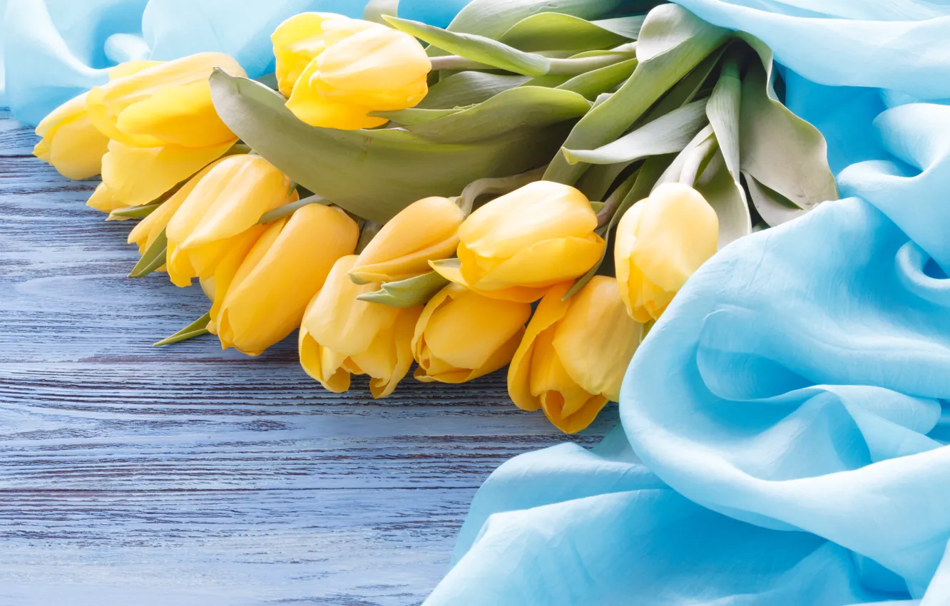Photo wallpaper flowers, bouquet, tulips, fabric