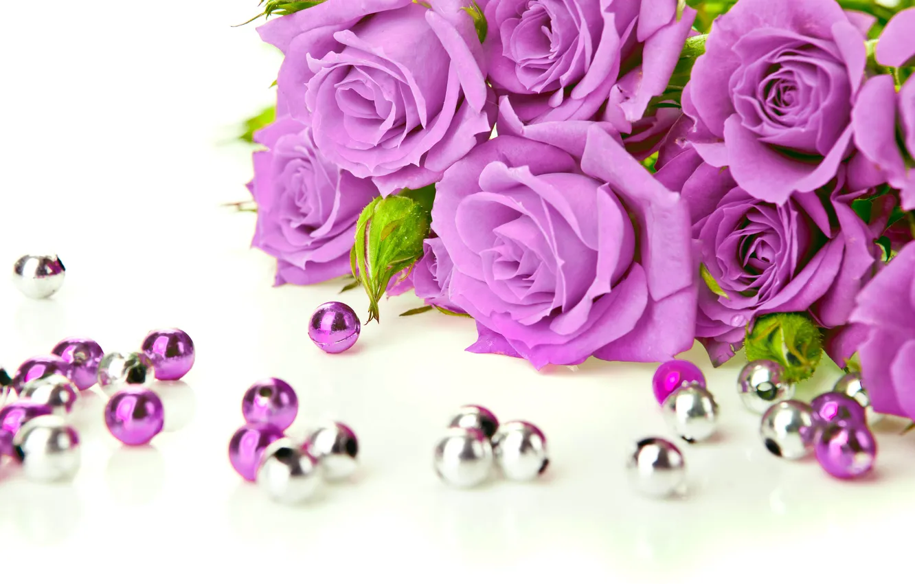 Photo wallpaper purple, flowers, roses, beads, buds