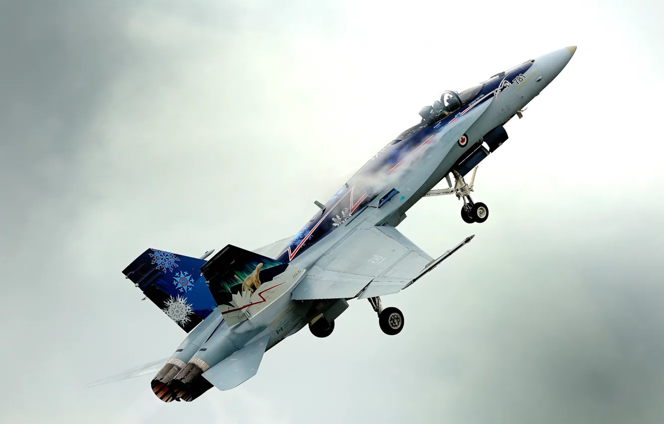 Photo wallpaper fighter, multipurpose, Hornet, interceptor, CF-18