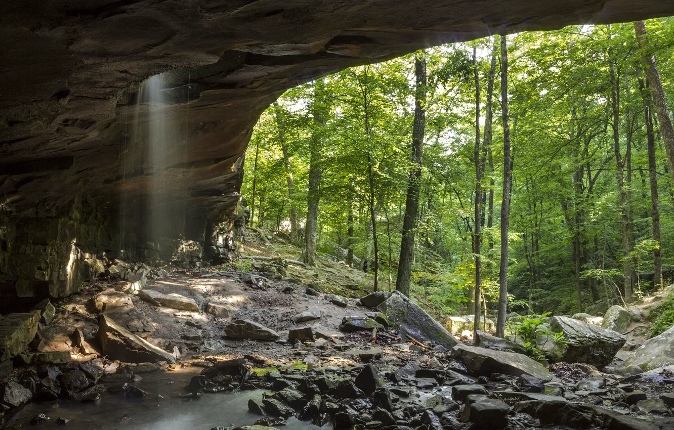 Photo wallpaper greens, forest, trees, rock, stones, waterfall, arch, Arkansas