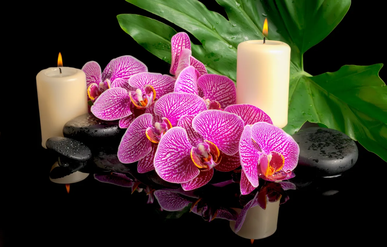 Photo wallpaper flowers, stones, candles, Orchid