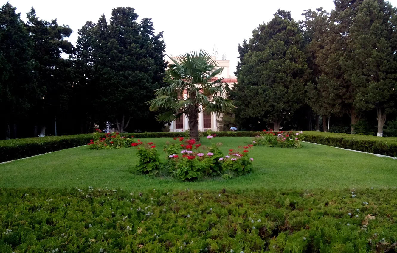 Photo wallpaper greens, summer, flowers, Park, Baku