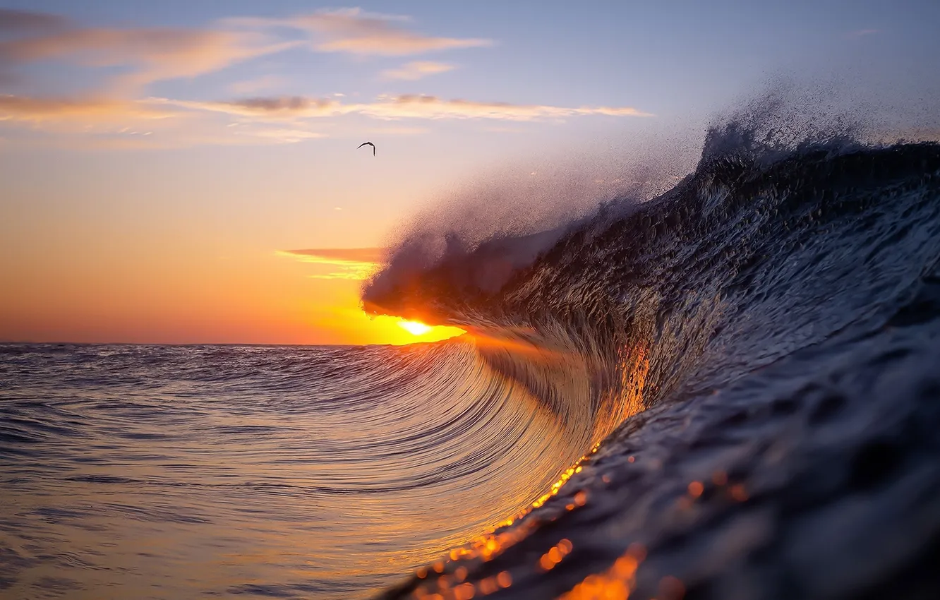 Photo wallpaper sand, wave, the sky, the sun, clouds, landscape, sunset, birds