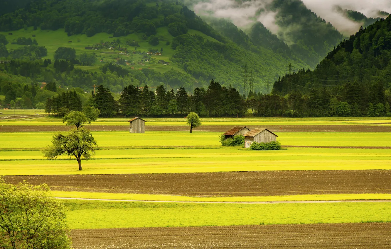 Photo wallpaper forest, trees, mountains, fog, field, Switzerland, valley, houses