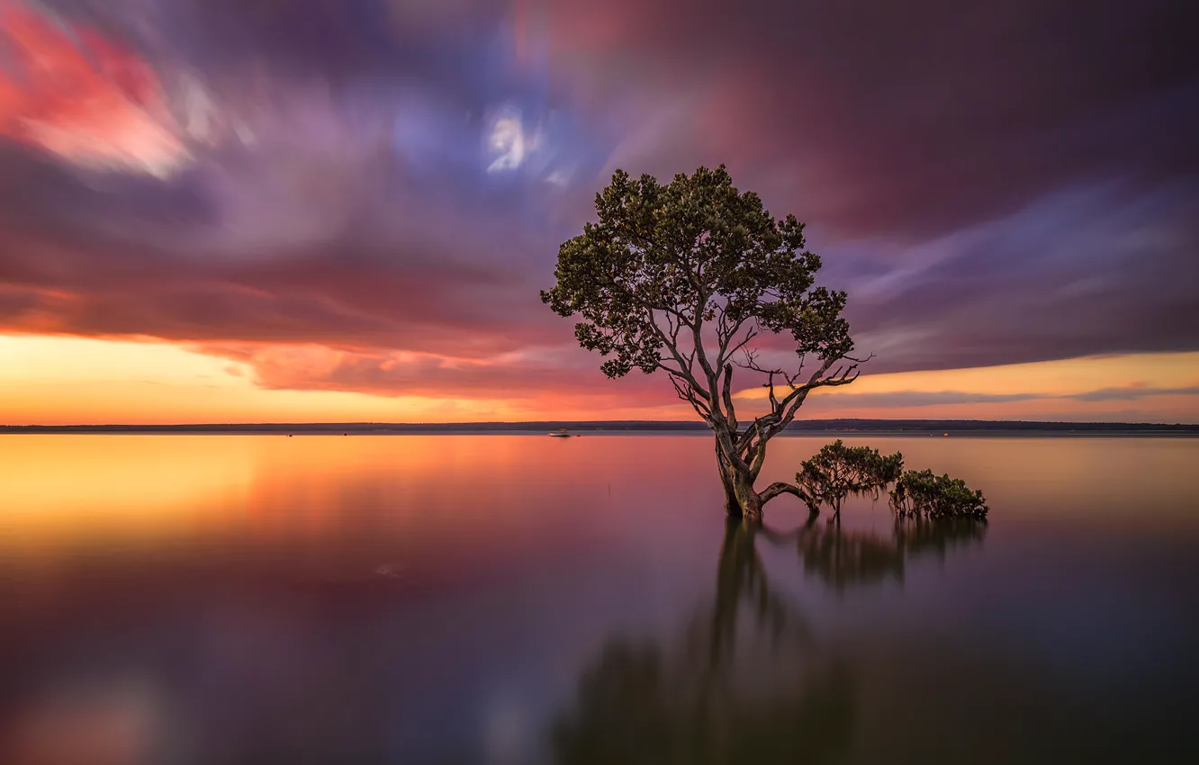 Photo wallpaper the sky, clouds, lake, tree, Victoria, Australia, glow, Tenby Point