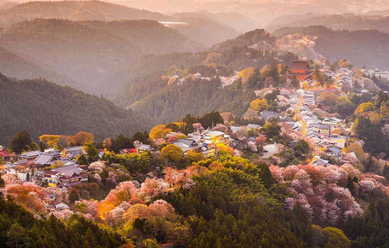 Photo wallpaper trees, mountains, spring, Japan, Sakura, flowering