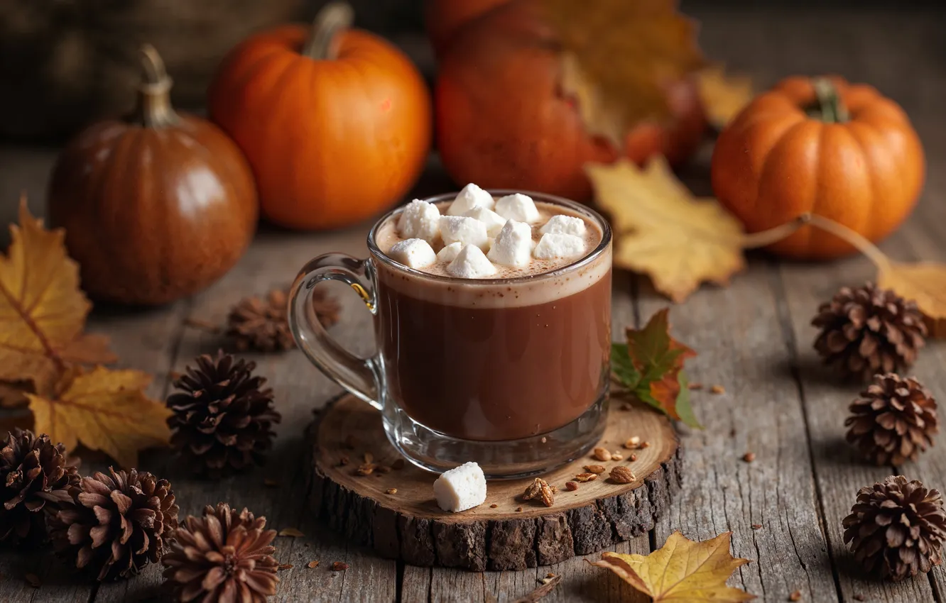 Photo wallpaper autumn, leaves, table, Board, pumpkin, Halloween, drink, the scenery