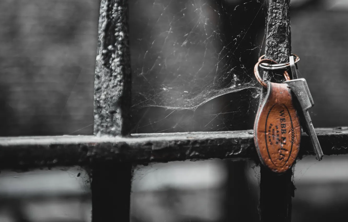 Photo wallpaper the fence, web, key