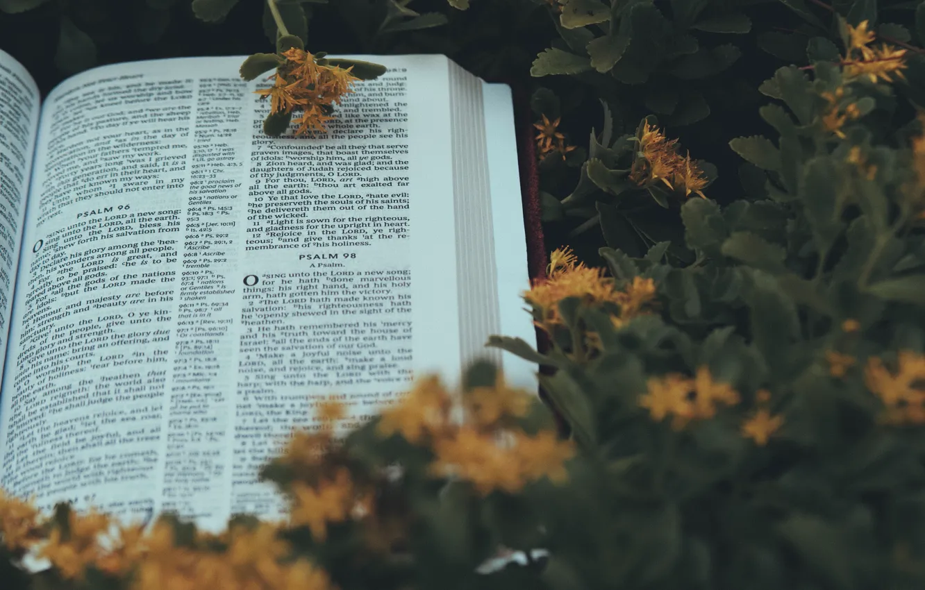 Photo wallpaper Christian, Bible, Aaron Burden, Holy Bible