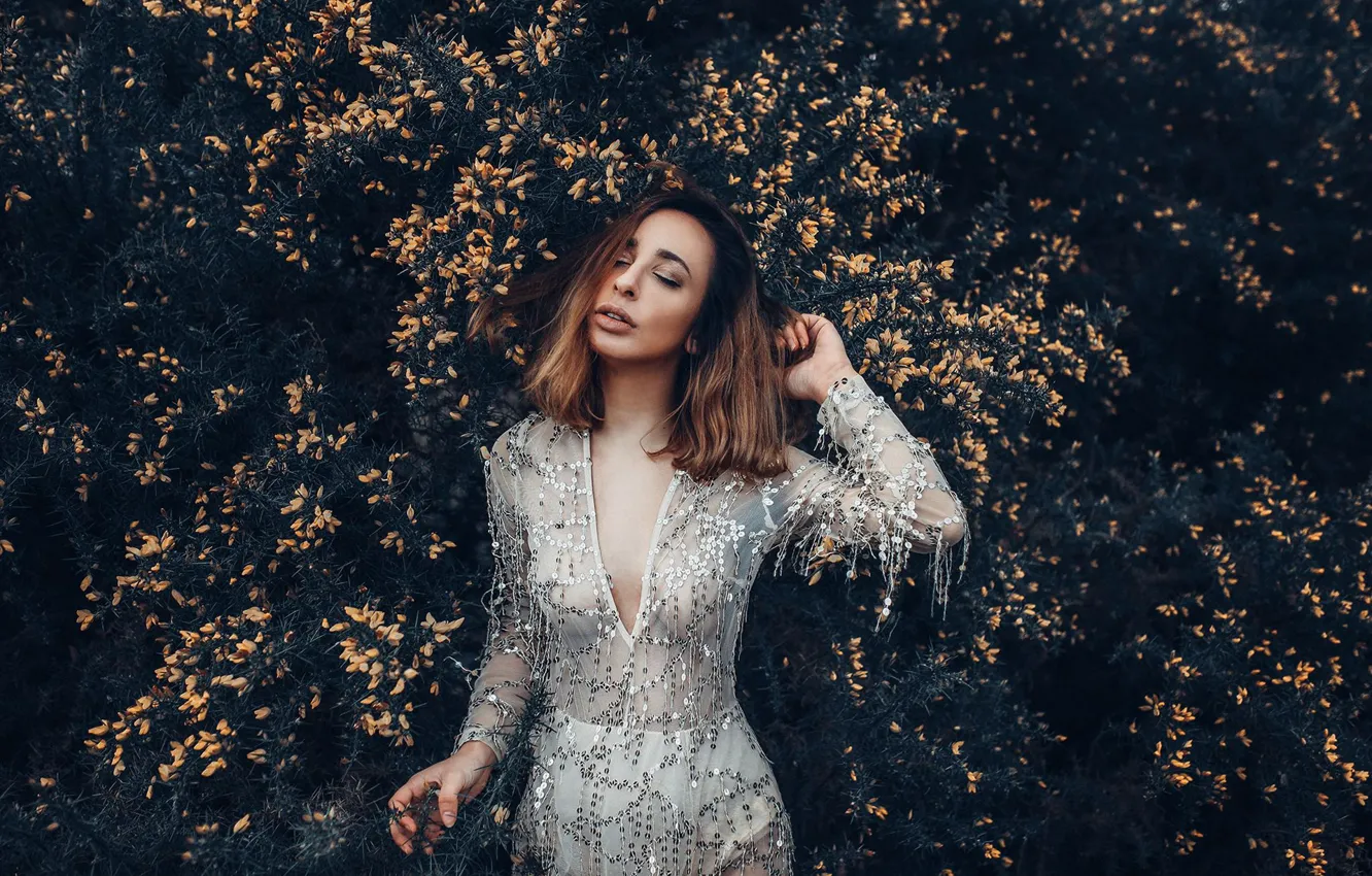 Photo wallpaper girl, pose, mood, dress, the bushes, Bird Man