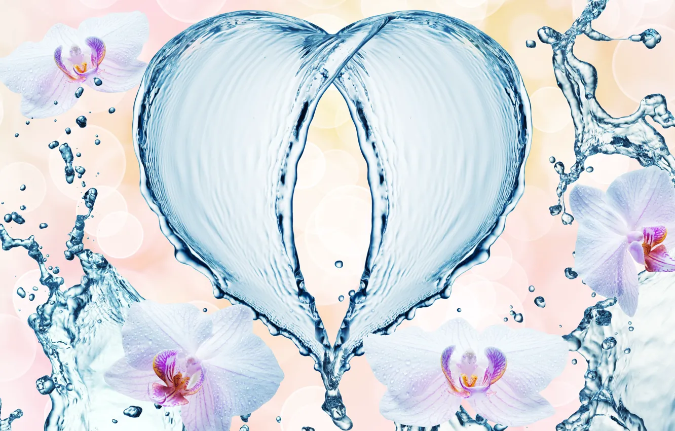 Photo wallpaper water, drops, flowers, squirt, pattern, heart, orchids