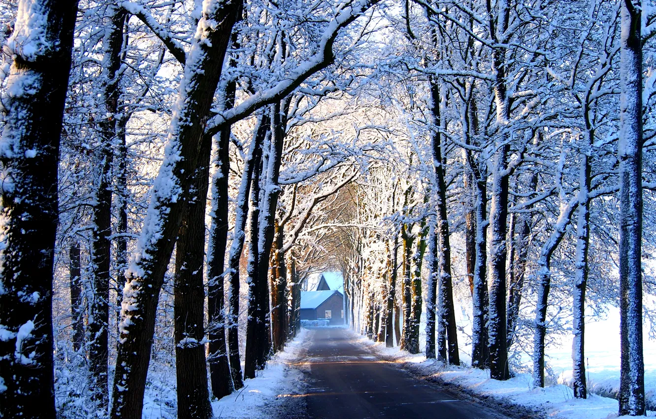 Photo wallpaper winter, road, snow, trees, home, alley