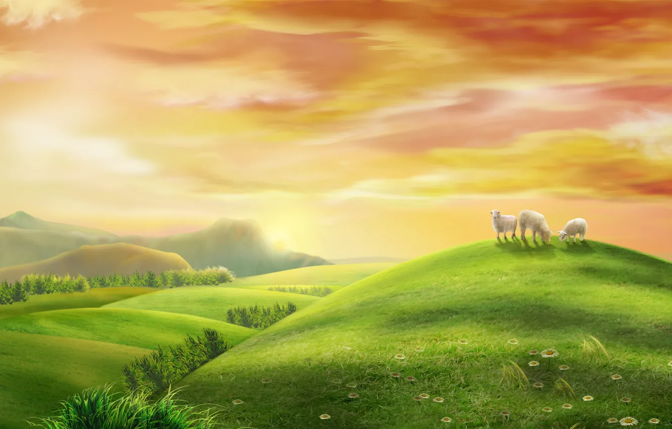 Photo wallpaper summer, sunrise, morning, pasture, meadow, space