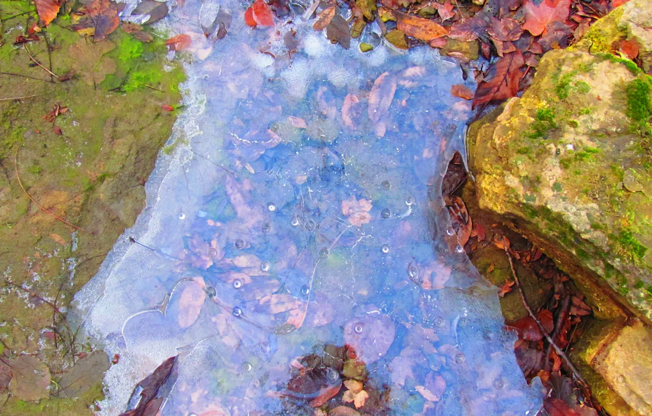 Photo wallpaper ice, water, mountain