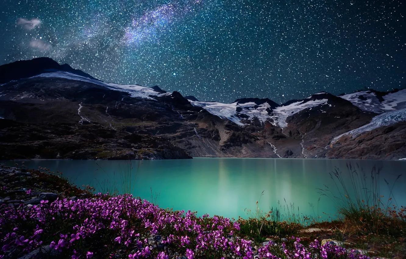 Photo wallpaper the sky, grass, stars, flowers, mountains, night, lake, stones