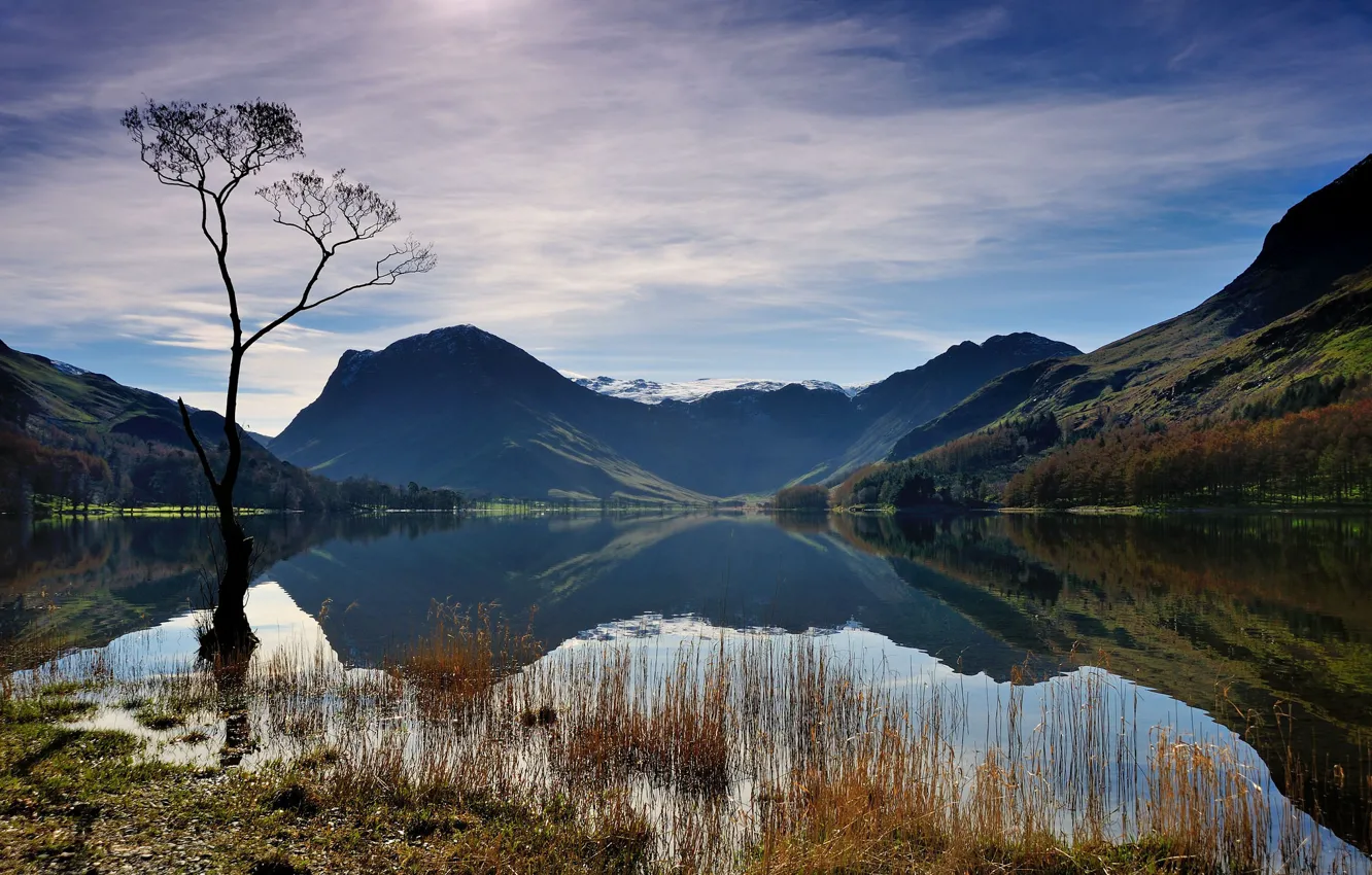 Photo wallpaper the sky, grass, clouds, trees, mountains, fog, lake, blue