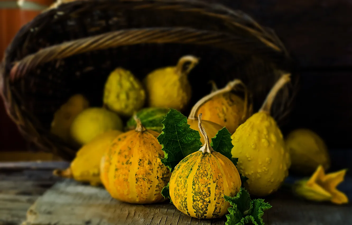 Photo wallpaper basket, Board, fruit, pumpkin, vegetables