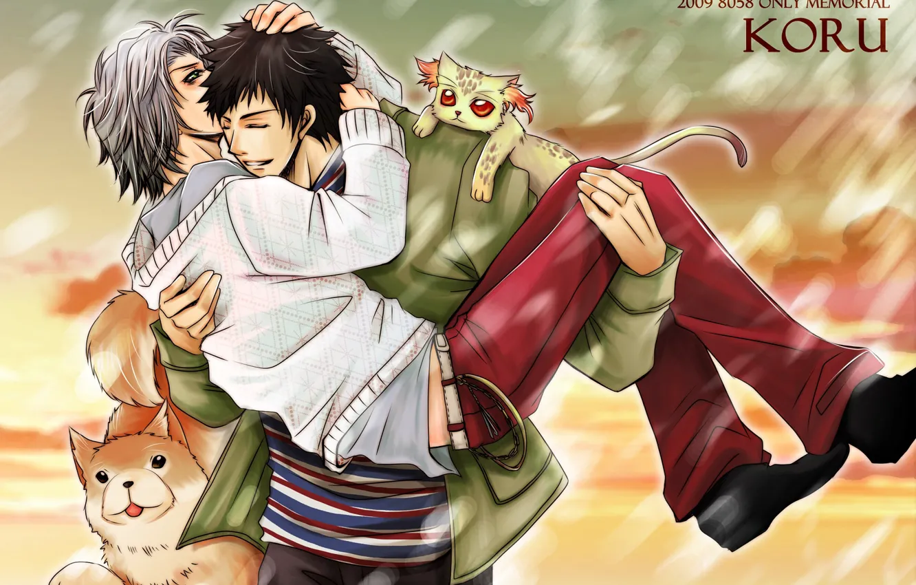 Photo wallpaper cat, animal, katekyo Hitman reborn, Teacher mafia Reborn, Gokudera Hayato, Yamamoto Takeshi