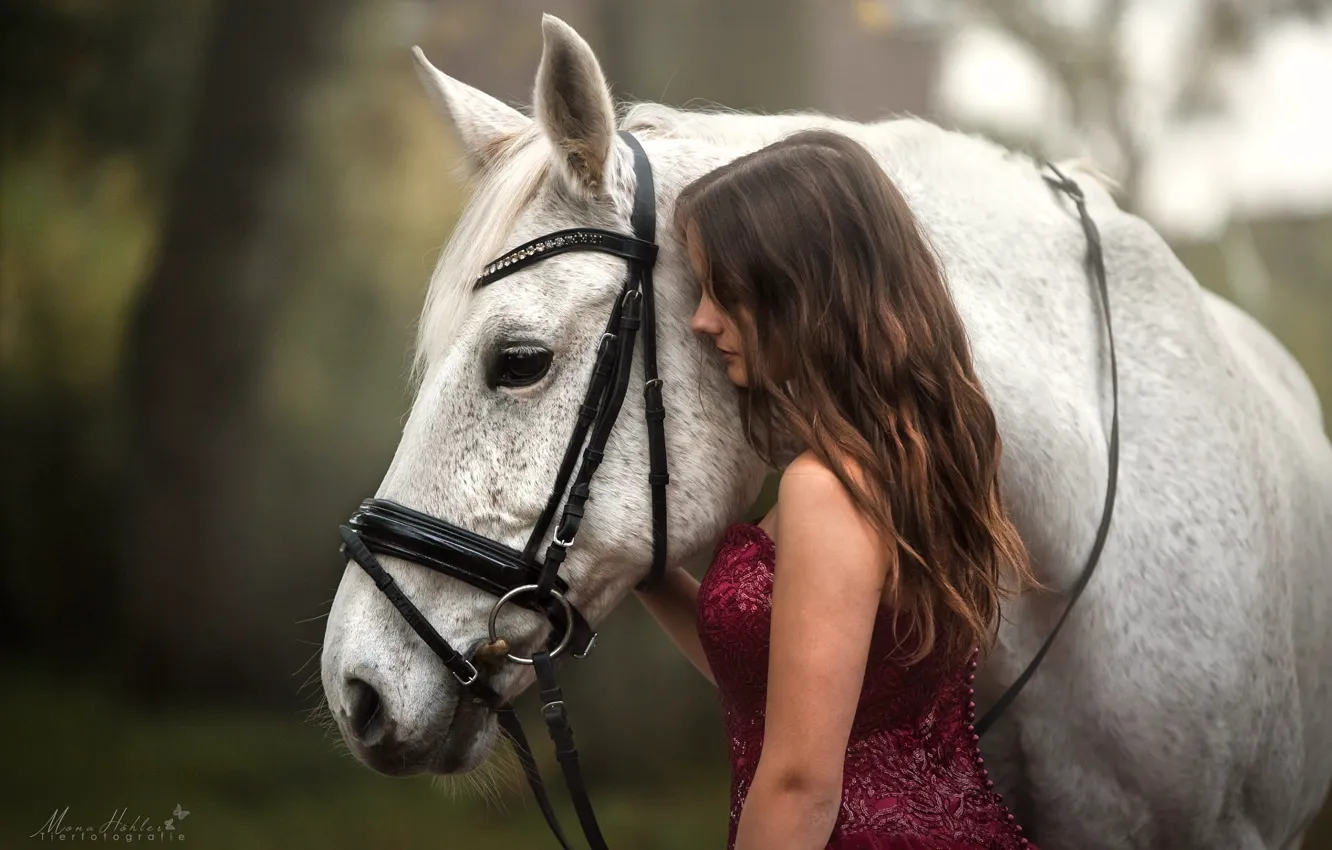 Photo wallpaper girl, horse, dress, Mona Hоhler