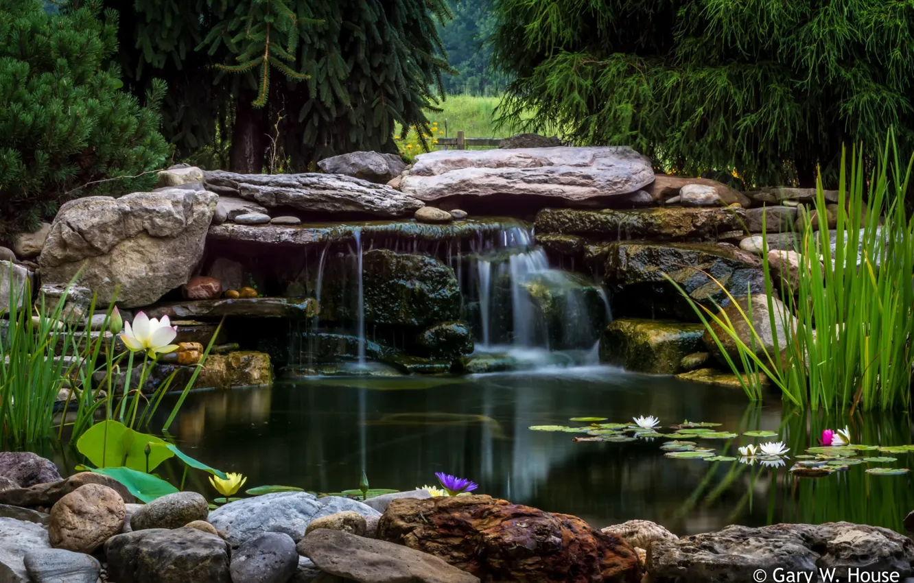 Photo wallpaper flowers, Park, nature, waterfall, lake, Lotus