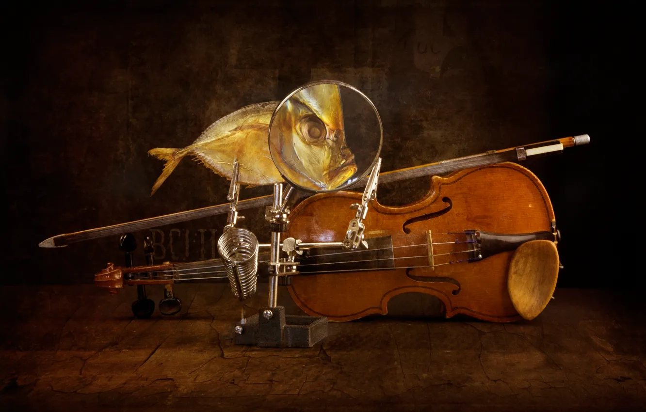 Photo wallpaper violin, fish, art, bow