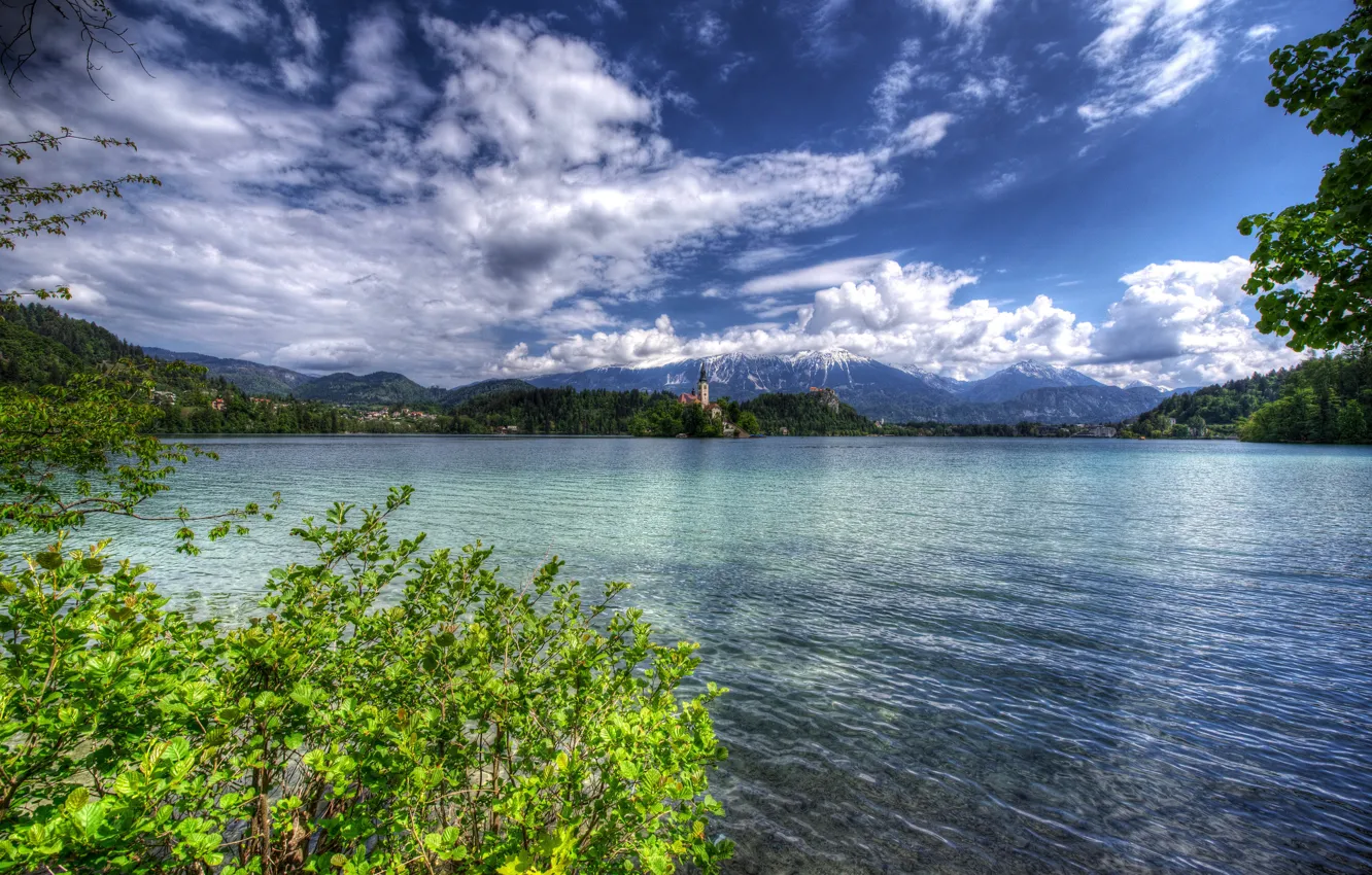 Photo wallpaper greens, forest, clouds, trees, mountains, branches, lake, shore
