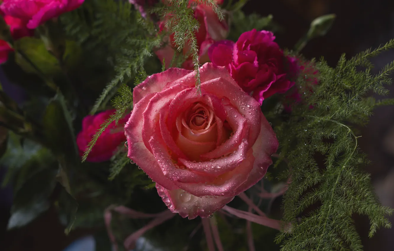Photo wallpaper drops, flowers, red, roses, bouquet, pink, bokeh, clove