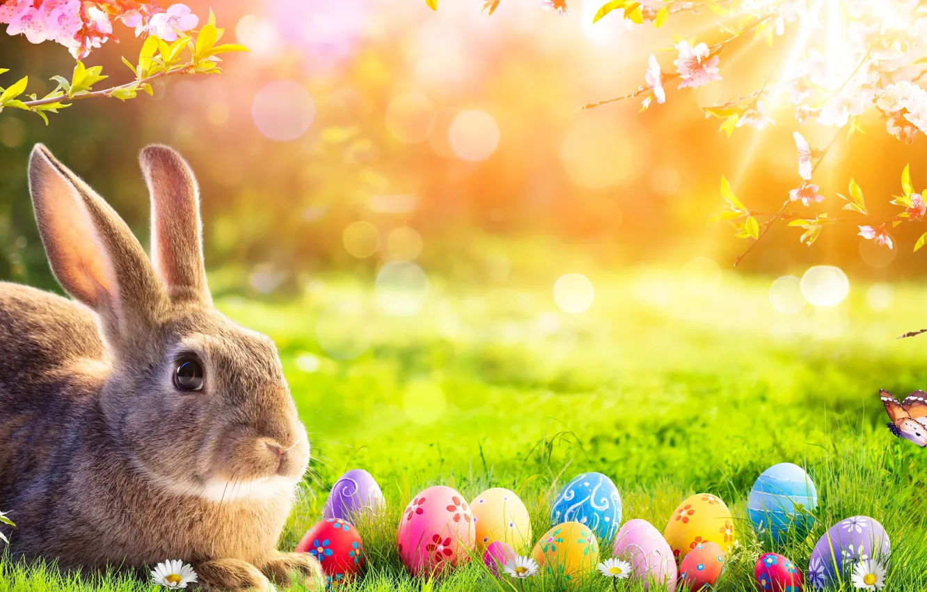 Photo wallpaper flowers, eggs, spring, colorful, Easter, flowers, spring, Easter