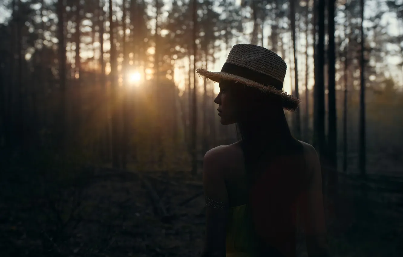 Photo wallpaper forest, sunset, model, the evening, Vadim Mironov