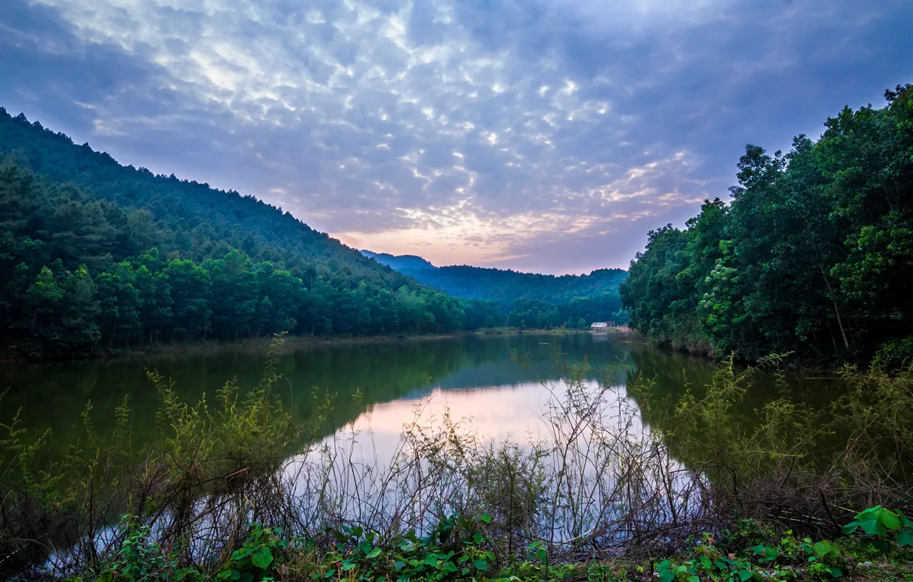 Photo wallpaper greens, forest, the sky, grass, clouds, trees, mountains, river