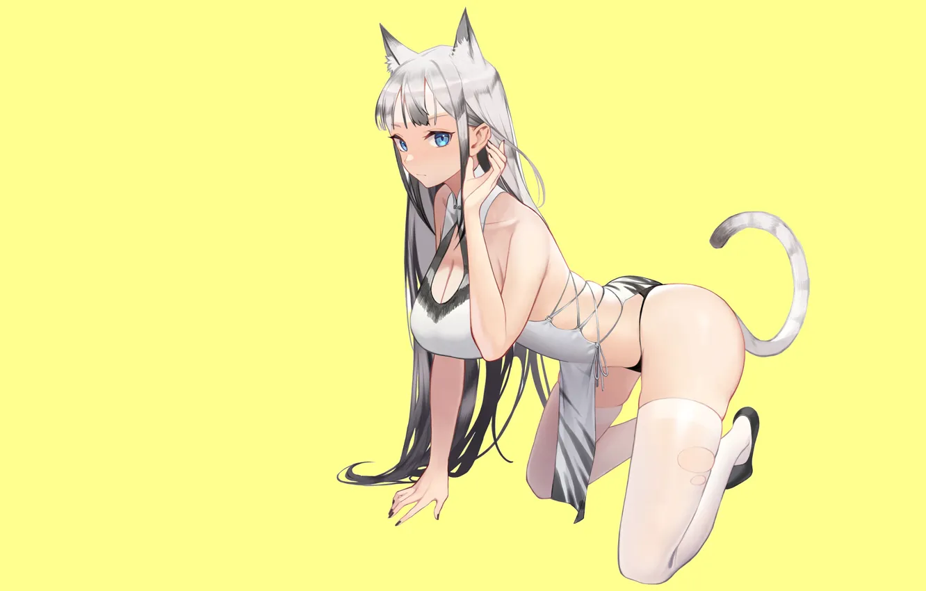 Photo wallpaper girl, sexy, pussy, anime, cat, pretty, kitty, breasts