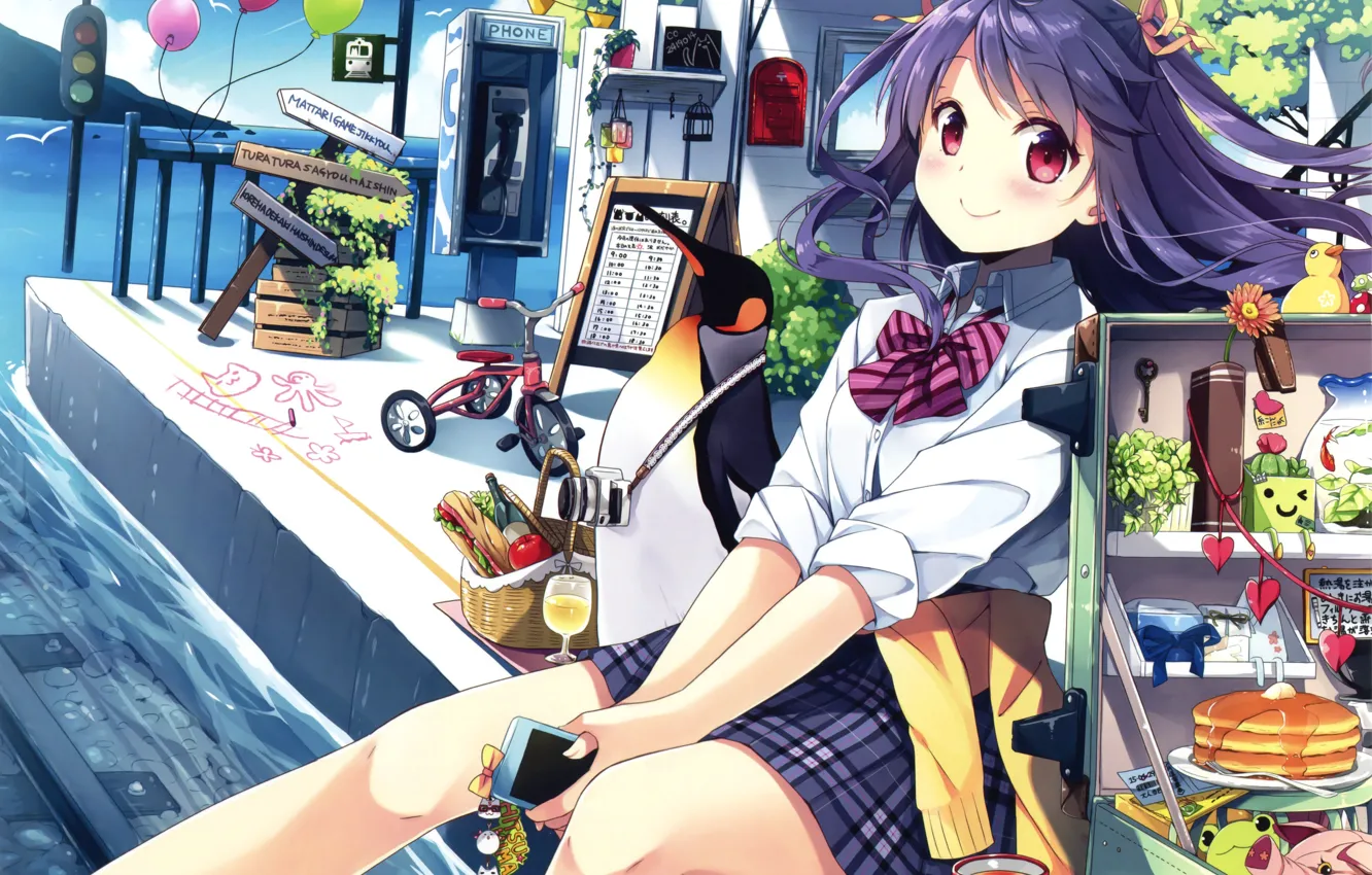 Photo wallpaper girl, balls, bike, anime, art, traffic light, penguin, phone, schoolgirl, natsume different