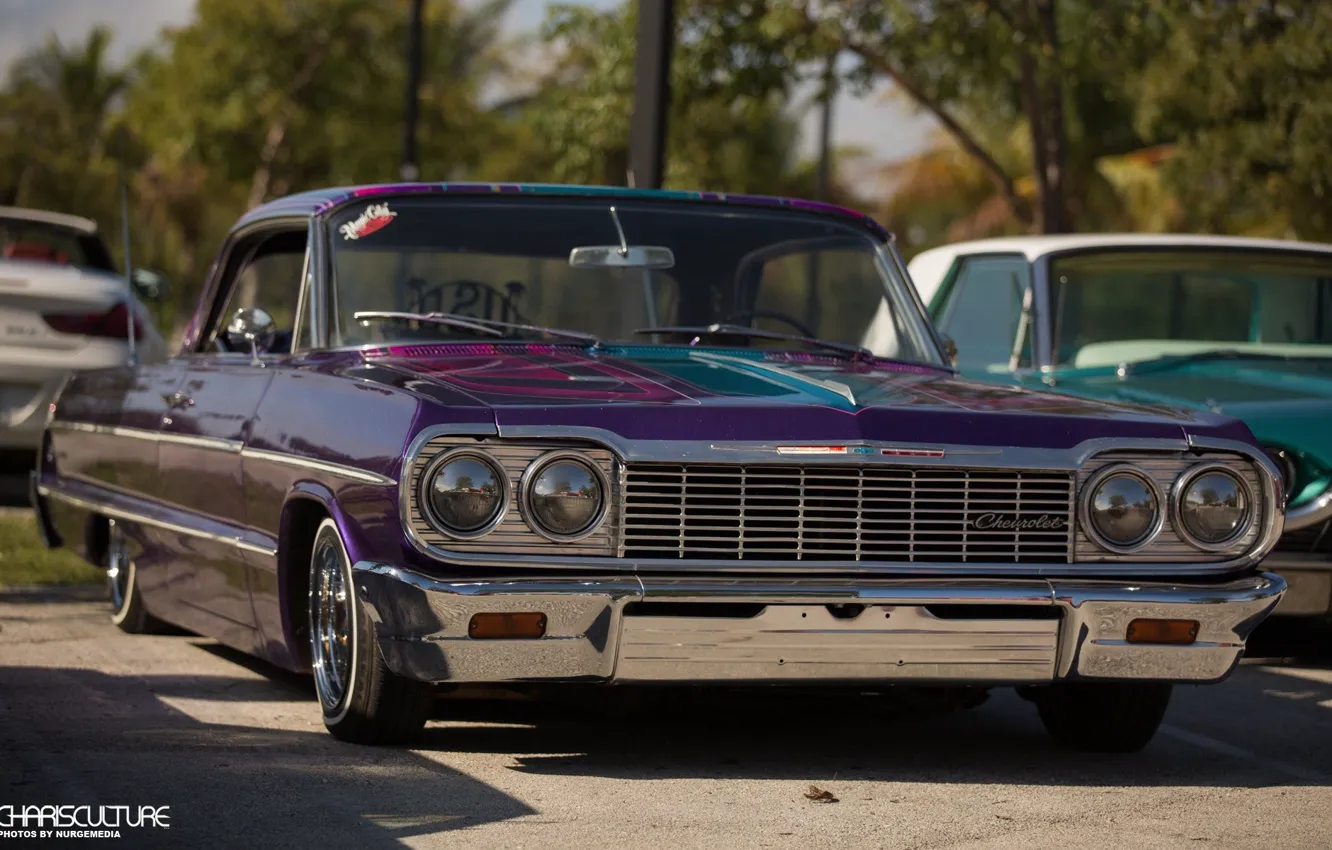 Photo wallpaper Chevrolet, Purple, Impala, Lowrider, Custom